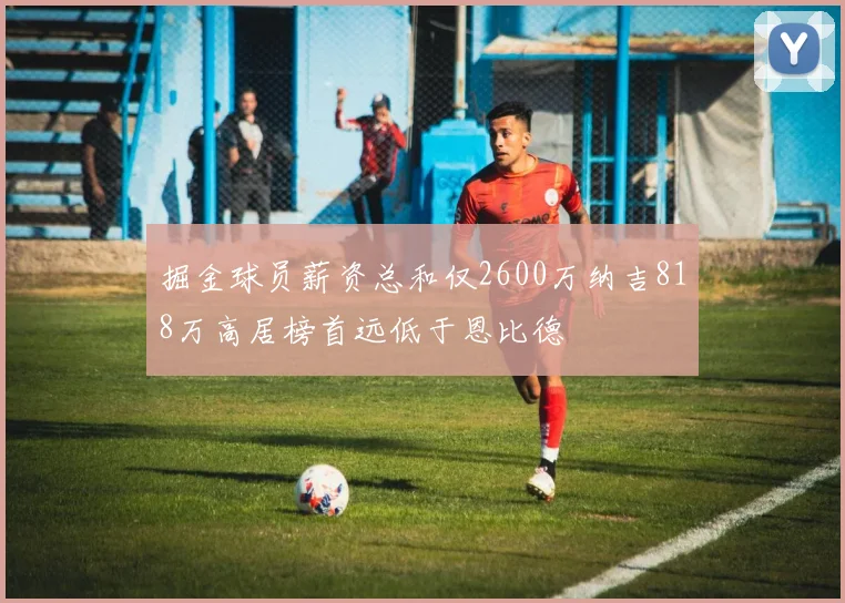掘金球员薪资总和仅2600万纳吉818万高居榜首远低于恩比德